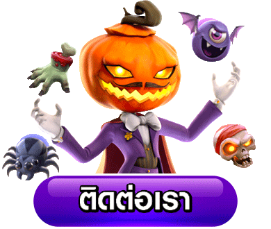 ติดต่อเรา allplayslot